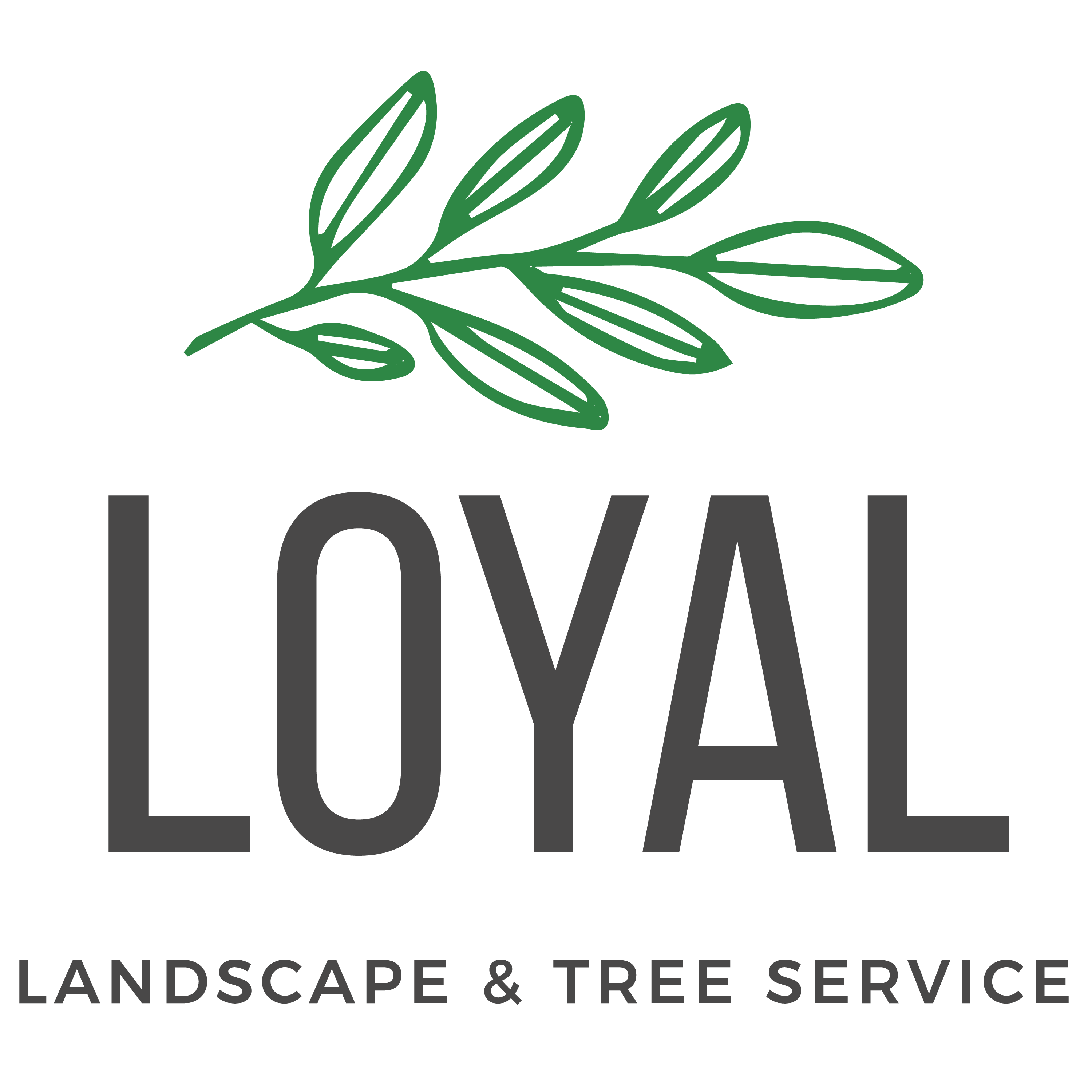 Loyal